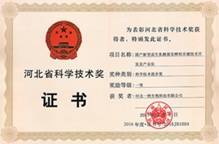 河北省（shěng）科技進步一等獎
