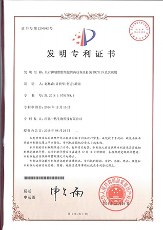具有抑製脂肪細胞的兩歧雙歧杆菌TMC3115及其應用